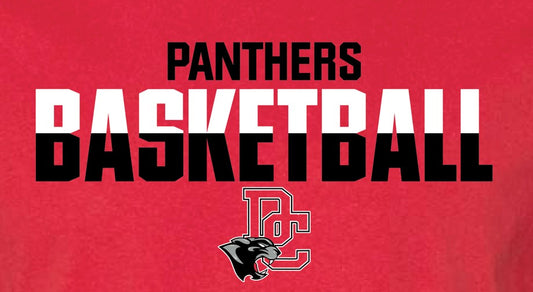 Panthers Basketball Design